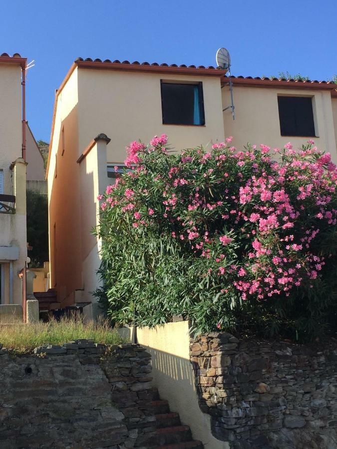 41 Les Imperiales Villa Collioure Bagian luar foto